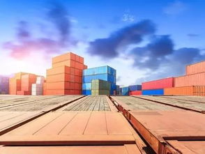 貨物進(jìn)出口申報(bào) 關(guān)鍵環(huán)節(jié)與實(shí)務(wù)指南